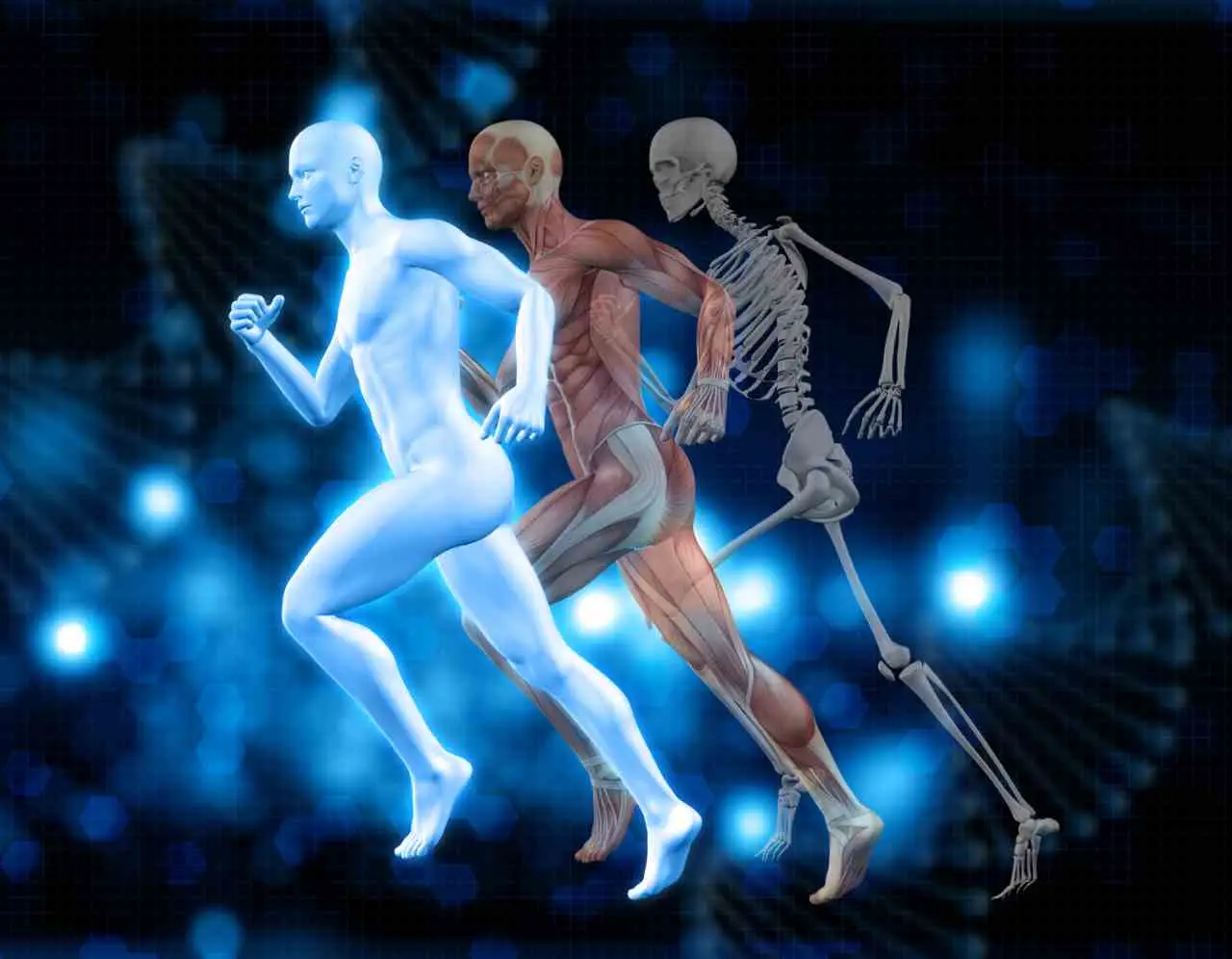 Hai la dermatomiosite? Ecco la verità sull’aspettativa di vita e su come conviverci