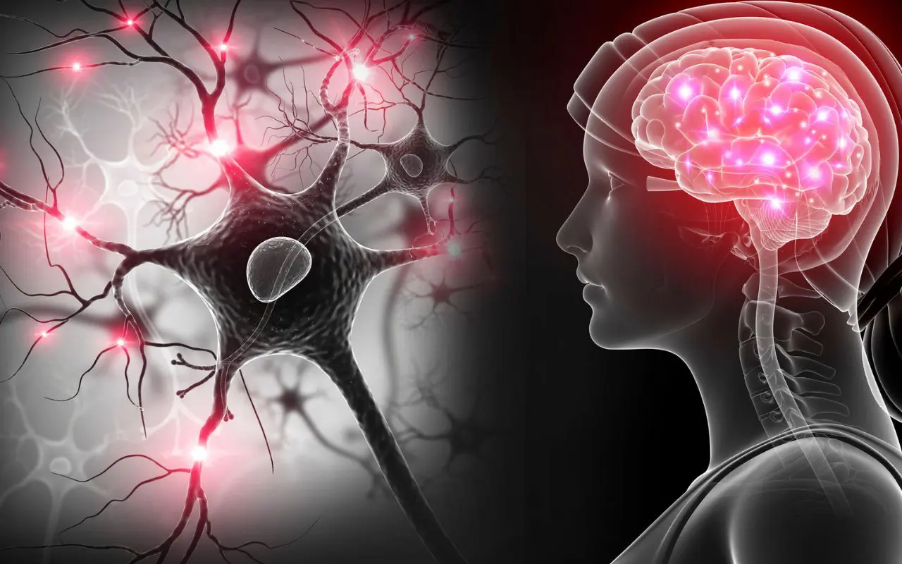 Le probabilità reali di sopravvivenza dopo un ictus: i dati che devi conoscere